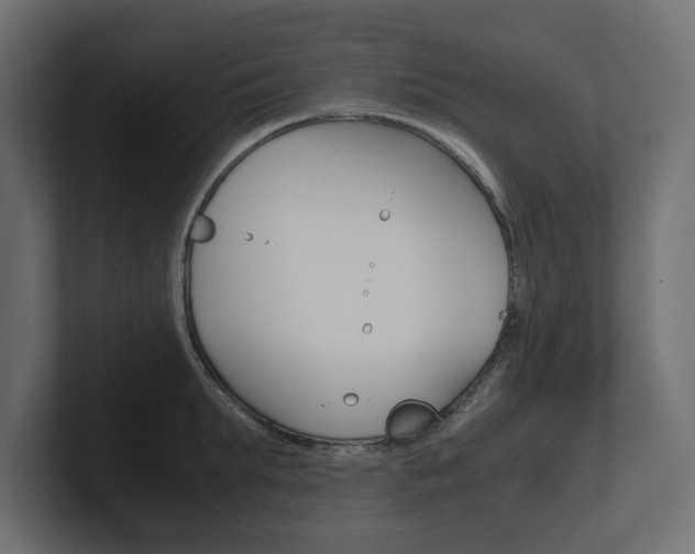 X0000101220903200806270922