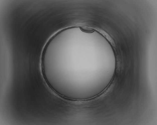 X0000101220904200806270922