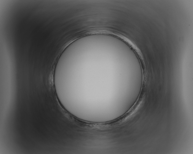 X0000101220905200806270922