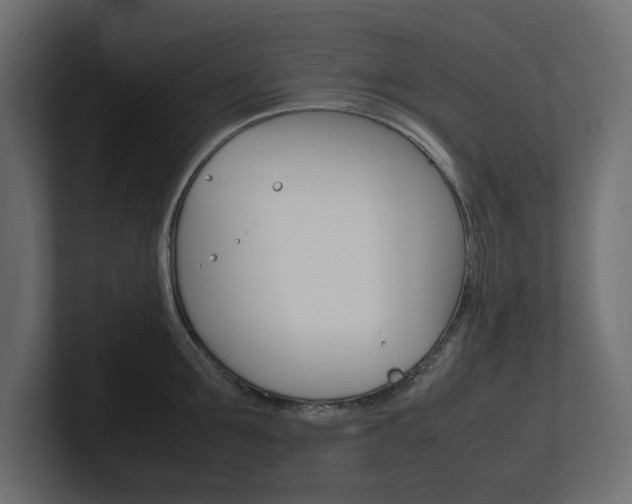 X0000101220907200806270922