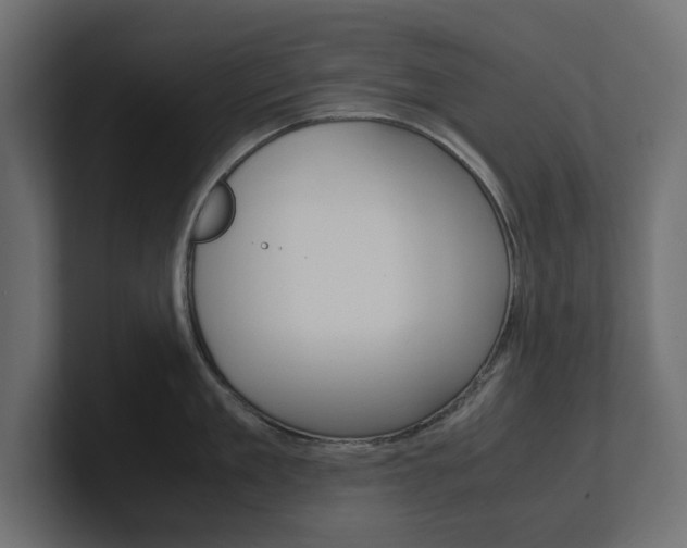 X0000101220909200806270922