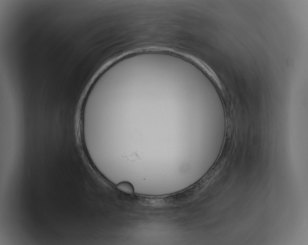 X0000101220911200806270922