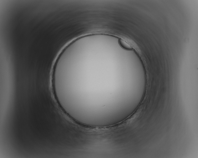 X0000101220912200806270922