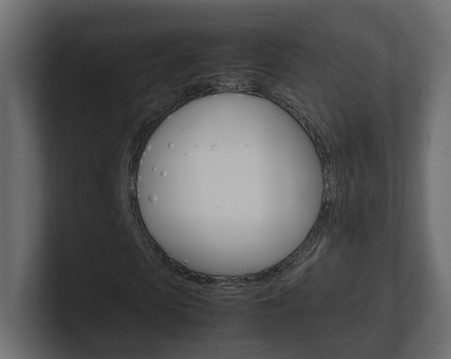 X0000101220913200806270921