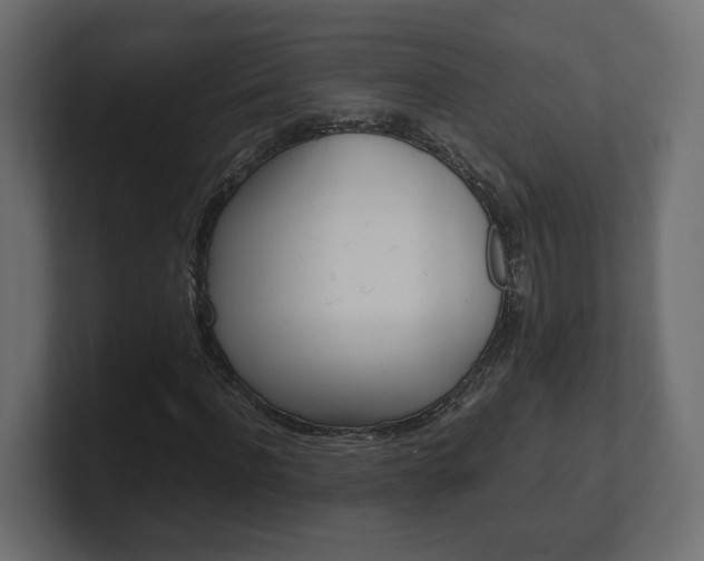 X0000101220916200806270921