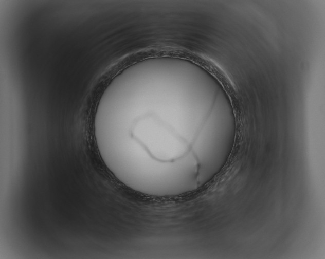X0000101220919200806270921