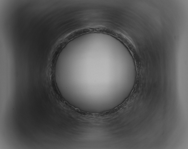 X0000101220920200806270921