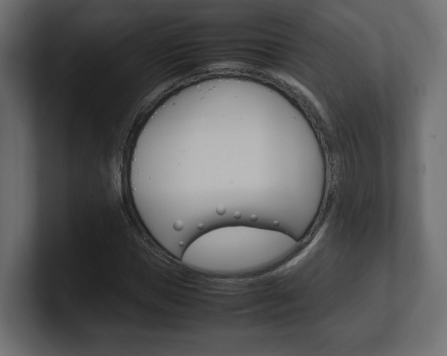 X0000101220921200806270921