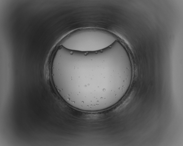 X0000101220925200806270921