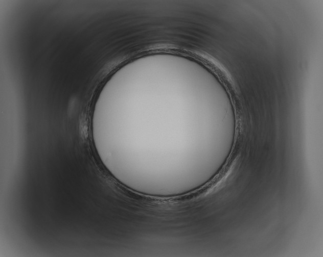 X0000101220929200806270921