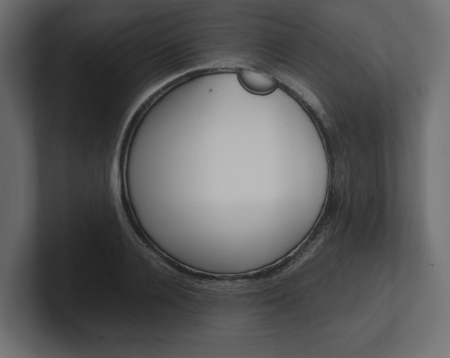 X0000101220936200806270921