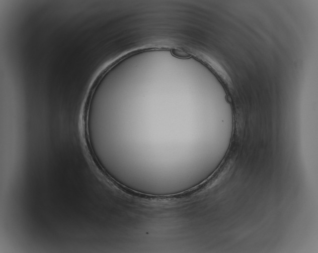 X0000101220944200806270922