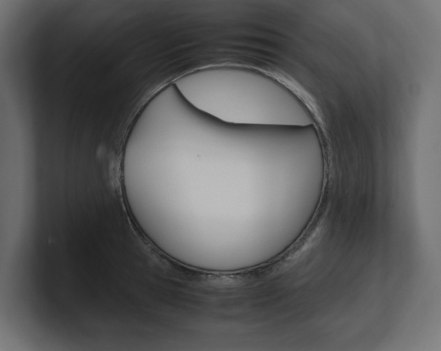 X0000101220945200806270922
