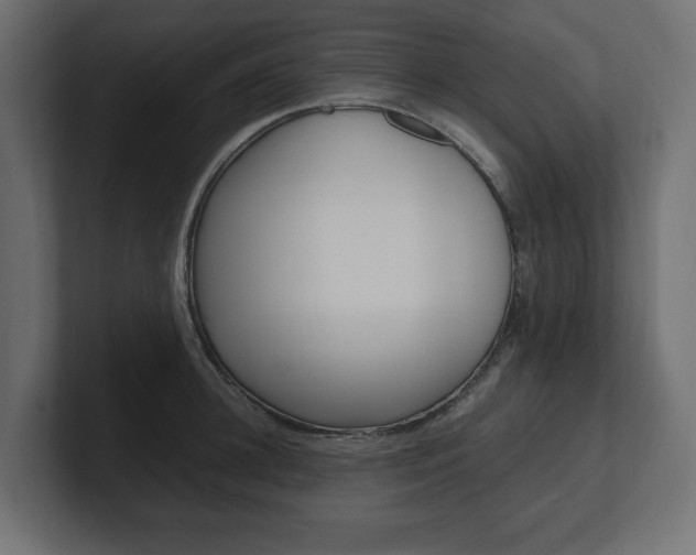 X0000101220948200806270922