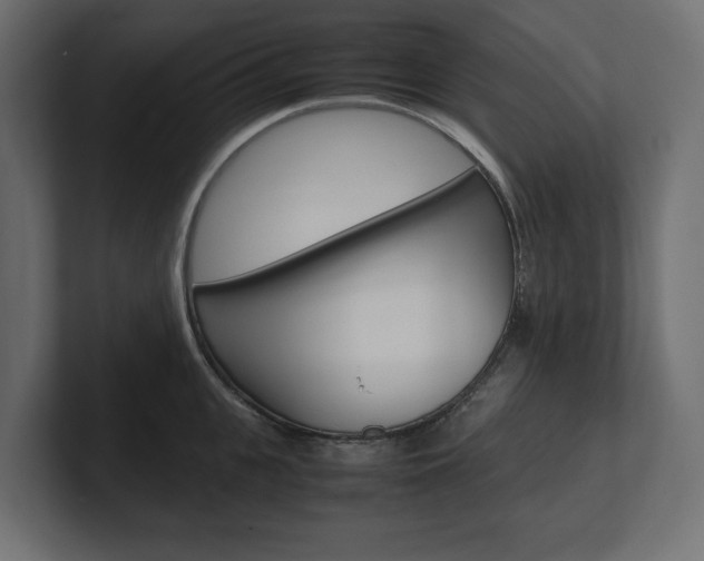 X0000101220951200806270922