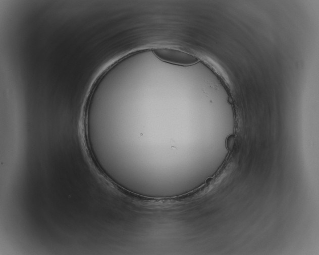 X0000101220952200806270922