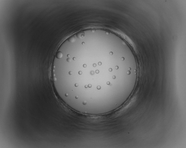 X0000101220953200806270922