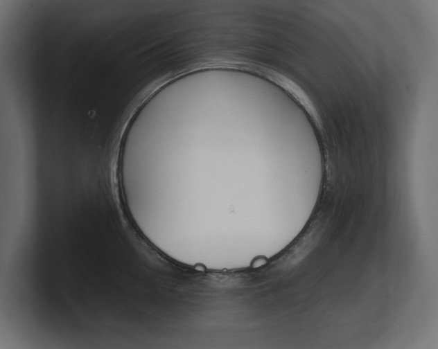 X0000101220954200806270922