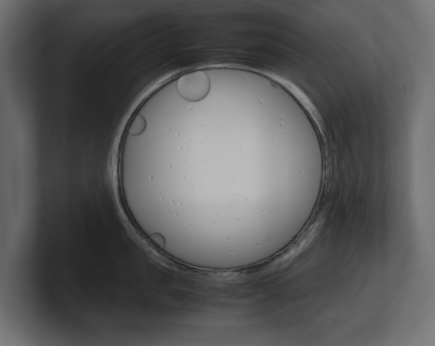 X0000101220957200806270922