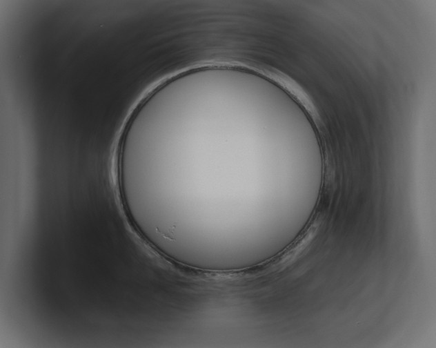 X0000101220958200806270922