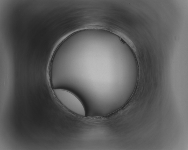 X0000101220960200806270922