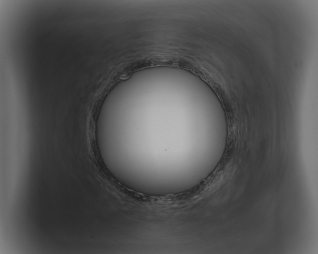 X0000101220961200806270921