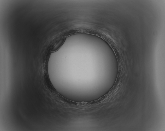 X0000101220965200806270921