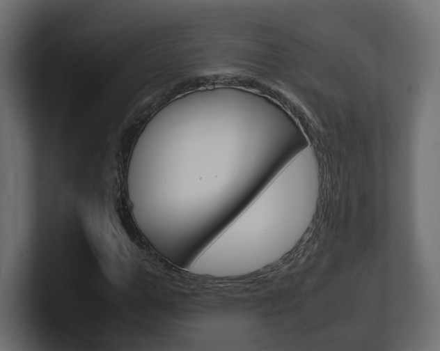 X0000101220967200806270921