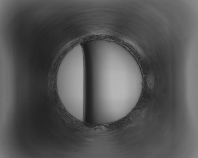 X0000101220968200806270921
