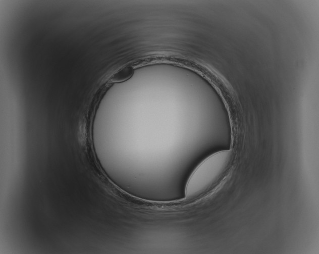 X0000101220969200806270921