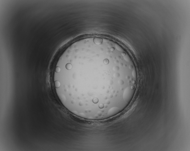 X0000101220974200806270921