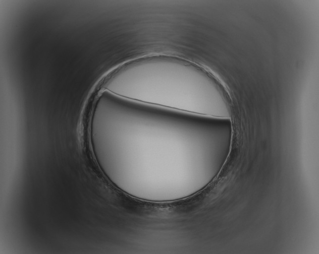X0000101220975200806270921