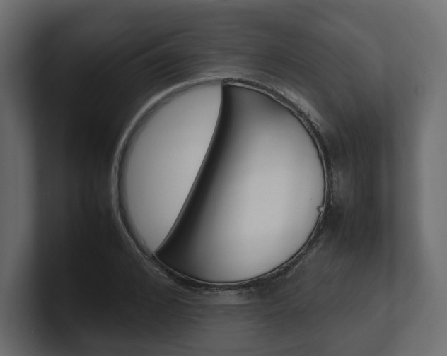 X0000101220976200806270921