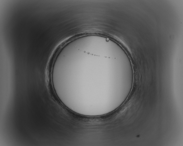 X0000101220979200806270921