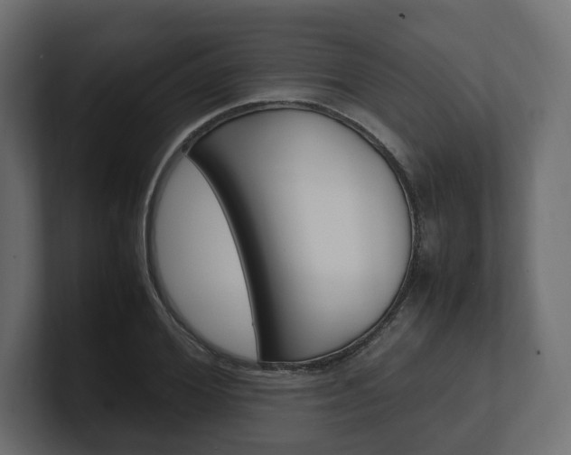 X0000101220980200806270921