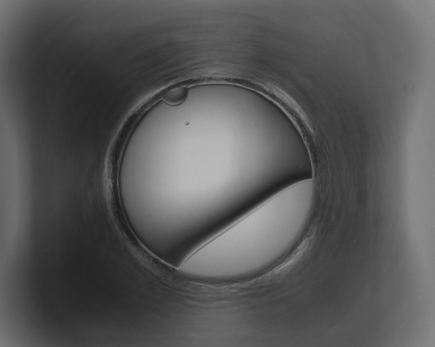 X0000101220981200806270921