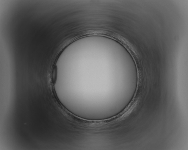 X0000101220985200806270921