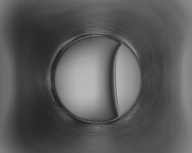 X0000101220987200806270921