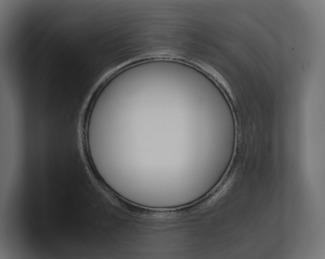 X0000101220989200806270921