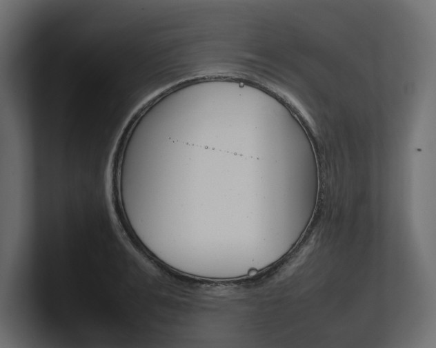 X0000101220991200806270921