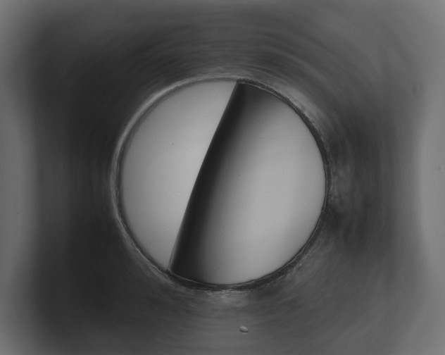 X0000101220992200806270921