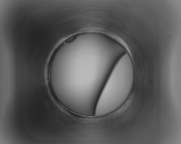 X0000101220997200806270921
