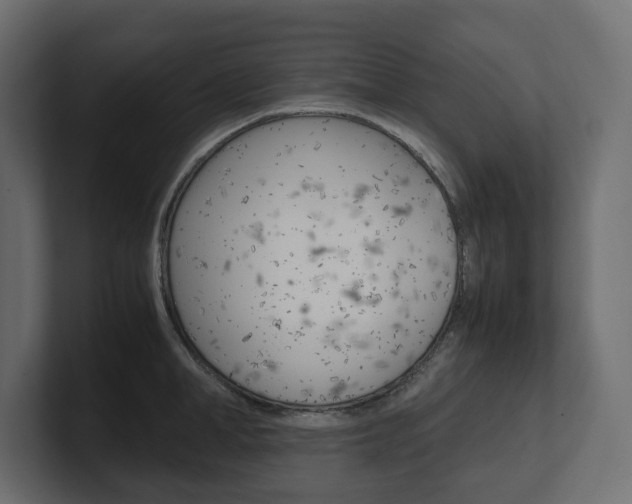 X0000101220998200806270921