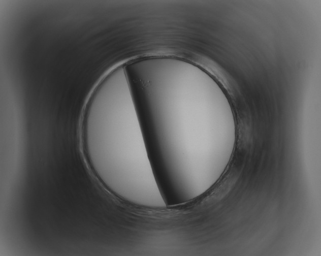 X0000101221000200806270921