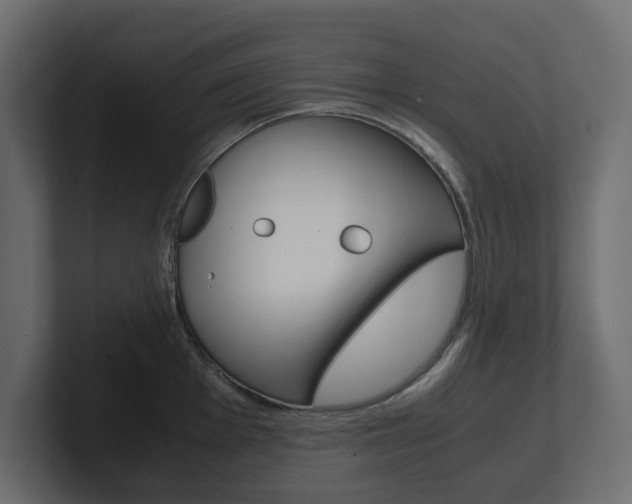 X0000101221001200806270921