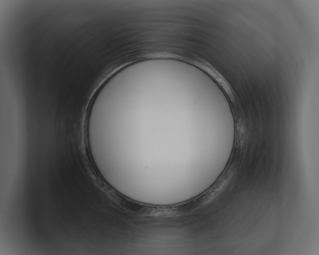 X0000101221002200806270921