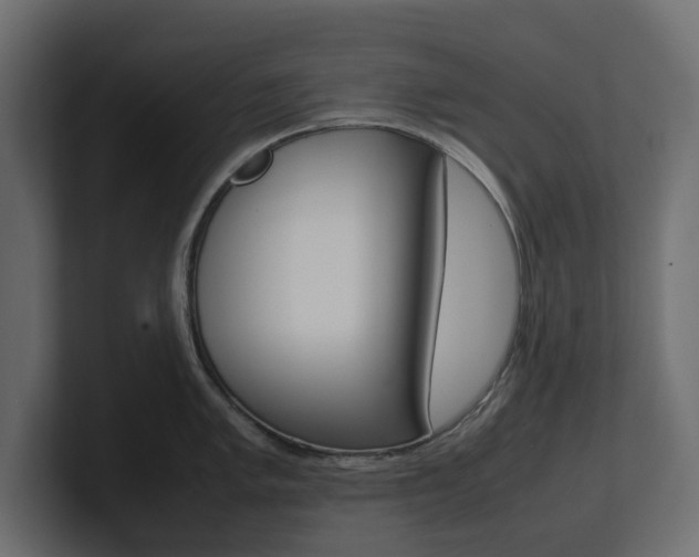 X0000101221005200806270921