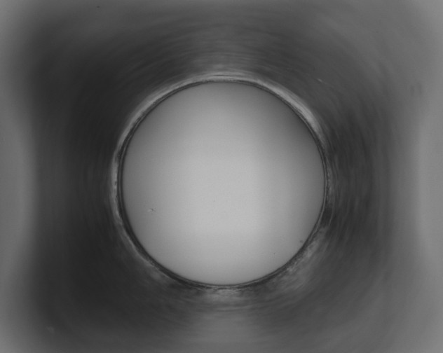 X0000101221006200806270921