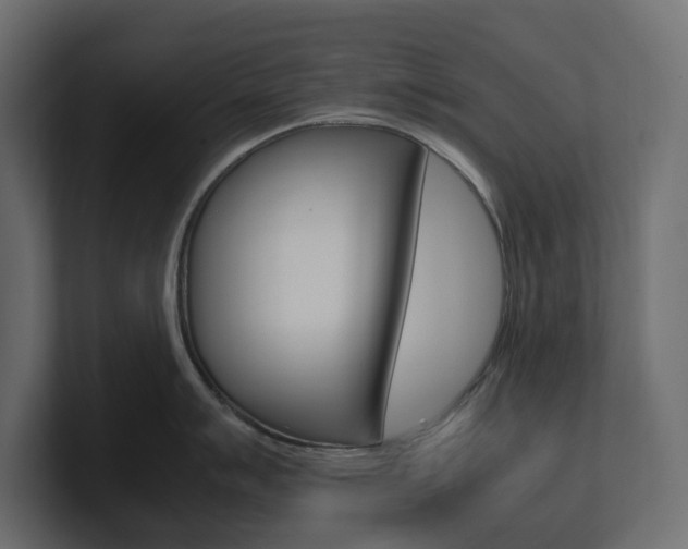 X0000101221007200806270921