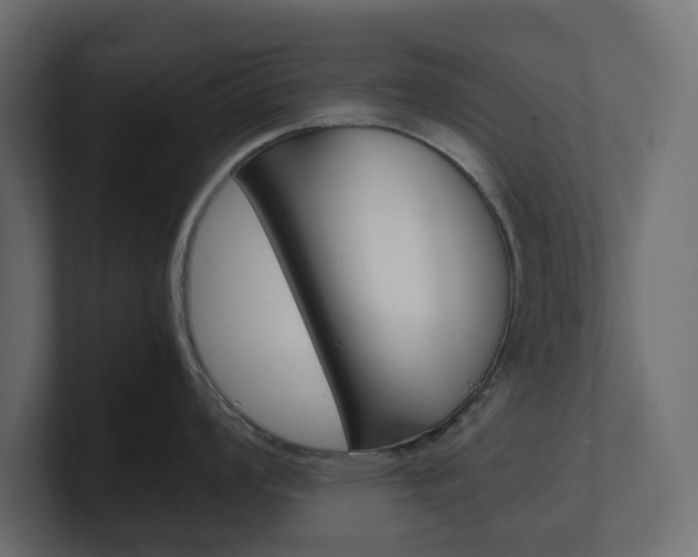 X0000101221008200806270921
